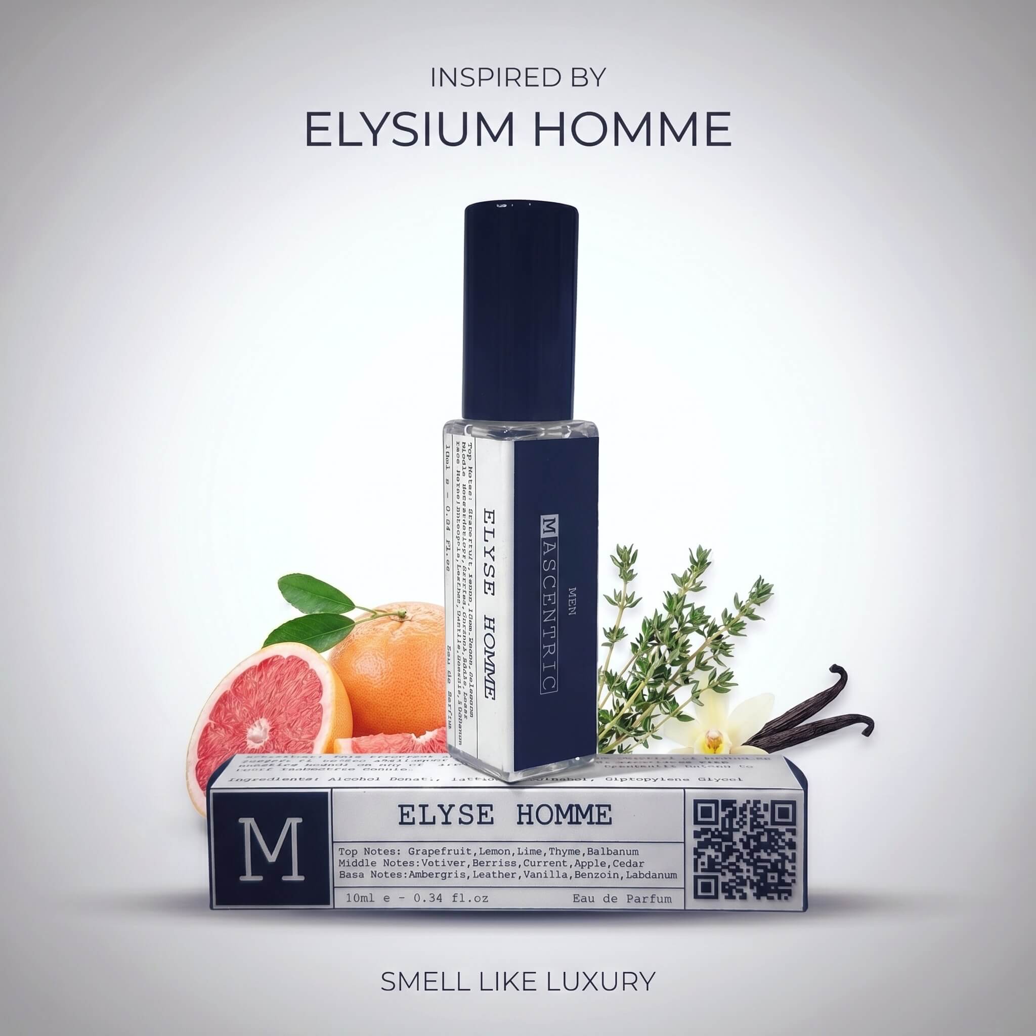 375-elysium-17778437466617.jpeg
