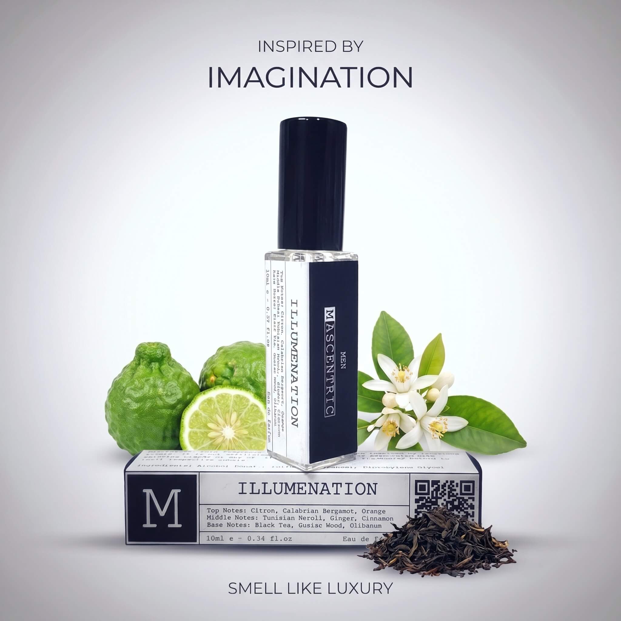 375-imagination-17778441691974.jpeg
